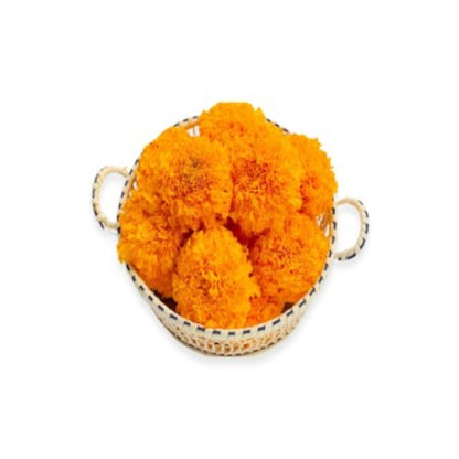 Starfresh Marigold Orange Flower ~ 500 gm