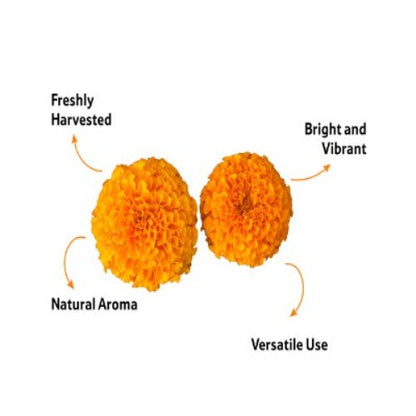 Marigold Orange Flower, 500 g