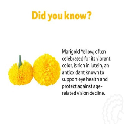 Marigold Yellow Flower, 1 Kg