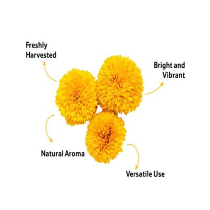 Marigold Yellow Flower, 1 Kg