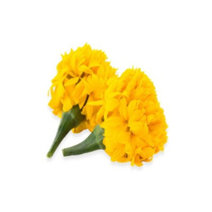 Marigold Yellow Flower, 500 g