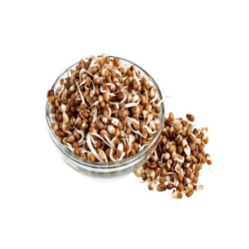 Starfresh Matki Sprout ~ about 180 g