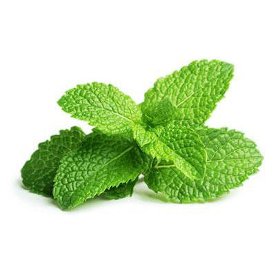 Starfresh Mint Premium 1 bunch
