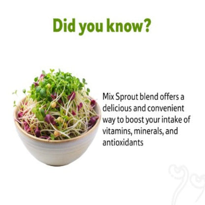 Mix Sprout, 180 g