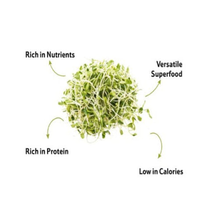 Starfresh Moong Sprout ~ 180 gm