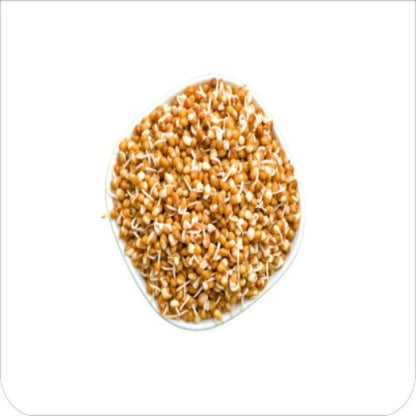 Moong & Matki Sprout, 180 g