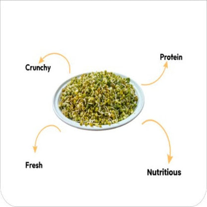 Moong & Matki Sprout, 180 g