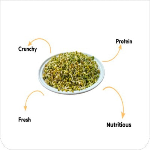 Moong & Matki Sprout, 180 g