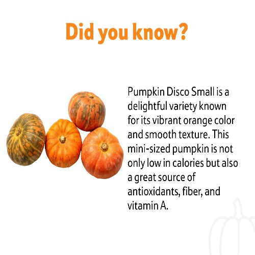 Starfresh Pumpkin Disco (Small About 1.2 Kg