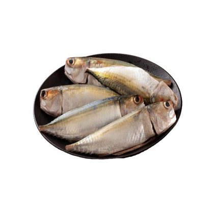 Starfresh Sea Water Mackeral (Bangda)Big Cleaned Gross 525 Gm, Cleaned 500 Gm