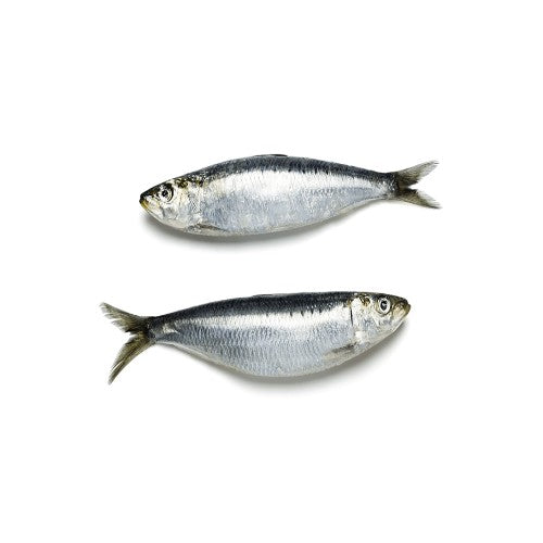 Starfresh Sea Water Sardines Cleaned 250 Gm