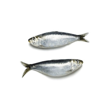 Starfresh Sea Water Sardines Cleaned 250 Gm