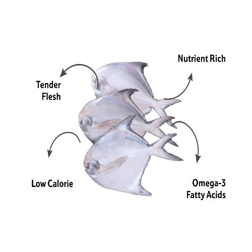 Starfresh Sea Water Silver Pomfret Cleaned 1 Kg (4 To 5 Pcs)