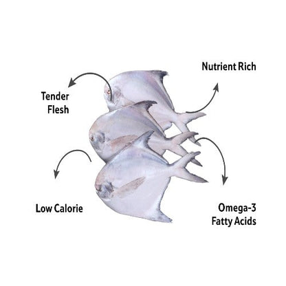 Starfresh Sea Water Silver Pomfret Cleaned 1 Kg (4 To 5 Pcs)