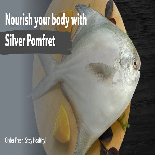 Starfresh Sea Water Silver Pomfret Cleaned 1 Kg (4 To 5 Pcs)