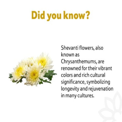 Shevanti Flower, 1 Kg
