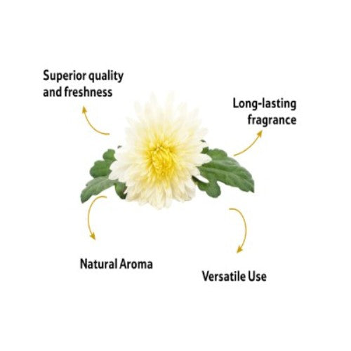 Starfresh Shevanti Flower ~ 1 kg