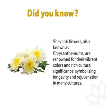 Shevanti Flower, 500 g