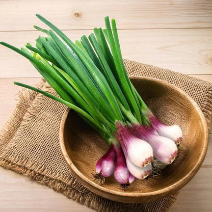 Starfresh Spring Onion Packed 1 bunch