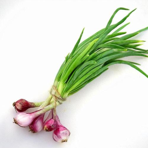 Starfresh Spring Onion Packed 1 bunch