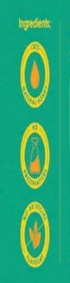 Vashishti Acacia Honey 300 g
