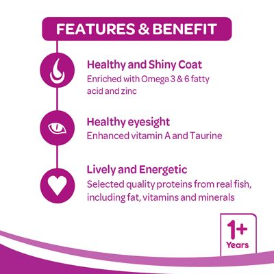 Whiskas Junior Ocean Fish 1.1 Kg